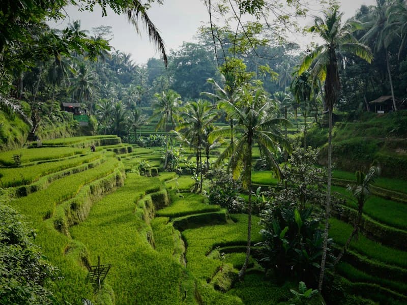 Ubud